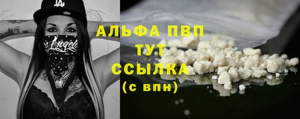 молекула духа Костерёво