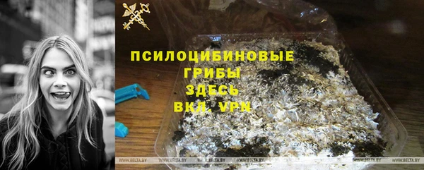 скорость Корсаков