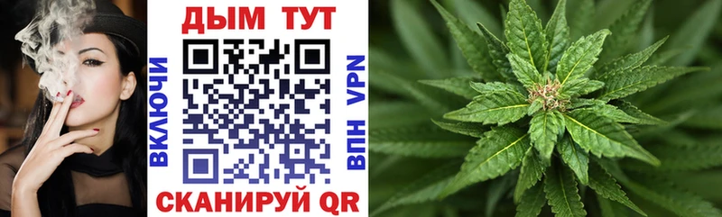Каннабис план  Купить закладки  Миллерово 